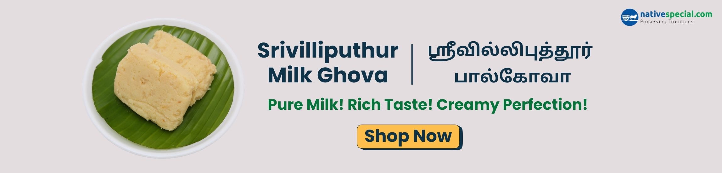 Palkova website banner.jpg